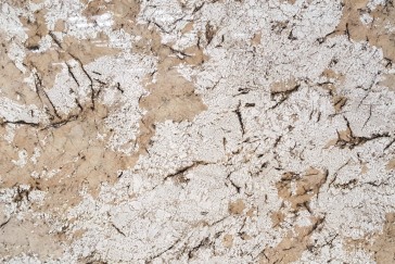 WHITE-TRUFFLE-70477-25-3CM-2-P